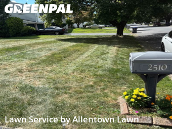 Yard Mowing in Allentown, 18103, Yard Maintenance by Allentown Lawn, work completed in Nov , 2025