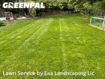 Grass Cut nearby Silver Spring, MD, 