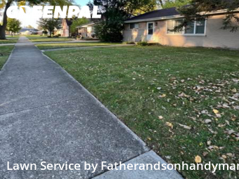Yard Mowingin Elmhurst,60126,Lawn Care Service by Fatherandsonhandyman, work completed in Nov , 2025
