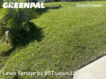 Yard Cutting nearby Lehigh Acres, FL, 