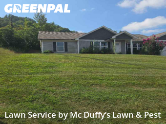 Grass Cut nearby Knoxville, TN, 