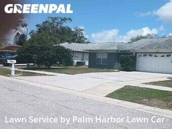 Lawn Care nearby Palm Harbor, FL, 