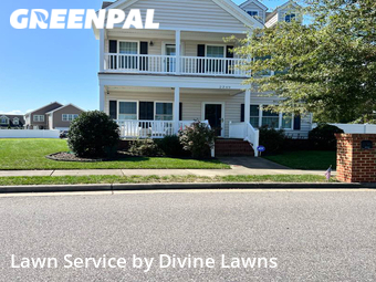 Grass Cutting nearby Virginia Beach, VA, 