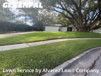 Yard Mowingin Altamonte Springs,32701,Lawn Mowing Service by Alvarez Lawn Company, work completed in Jun , 2026