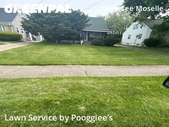 Lawn Cutting nearby Buffalo, NY, 