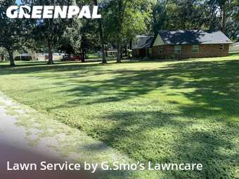 Grass Cut nearby Ocala, FL, 