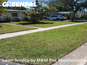 Lawn Service nearby St. Petersburg, FL, 