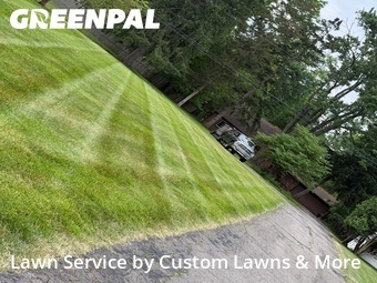 Lawn mowed in Livonia, 48154