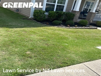 Lawn Mow nearby Fort Mill, NC, 