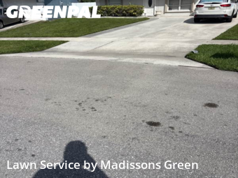 Garden Trimming in Greenacres, 33463, Weed Trimming by Madissons Green, work completed in Nov , 2025