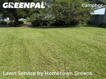 Yard Cuttingin Lakeland,33803,Grass Cut by Hometown Greens , work completed in Dec , 2025