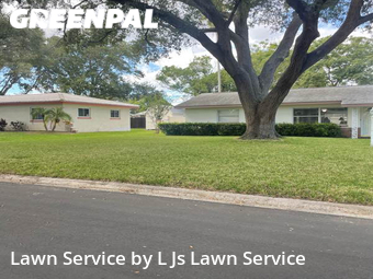 Lawn Cut nearby Largo, FL, 