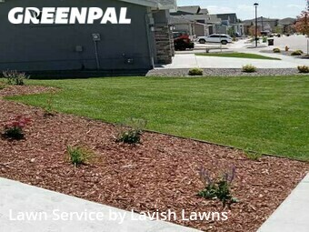 Lawn Maintenance nearby Colorado Springs, CO, 