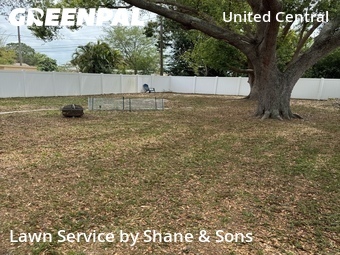 Grass Cut nearby St. Petersburg, FL, 