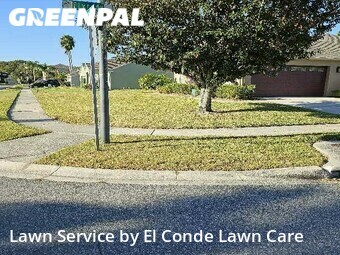 Lawn Cut nearby Orlando, FL, 