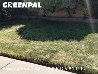 Work completed by grass-trimming-service-in-Turlock-CA