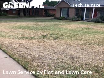 Lawn Maintenance nearby Lubbock, TX, 