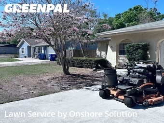 Lawn Maintenance nearby Palm Harbor, FL, 