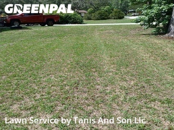 Grass Cut nearby Gainesville, FL, 