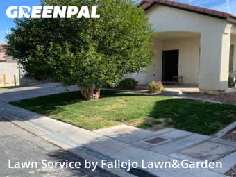 Lawn mowed in Las Vegas, 89123
