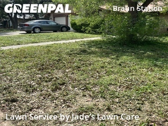 Yard Cutting nearby San Antonio, TX, 