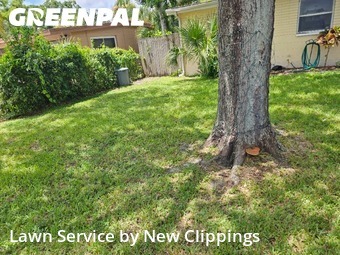 Lawn Service nearby Safety Harbor, FL, 