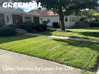 Lawn Care Service nearby Mount Clemens, MI, 