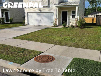 Grass Cut nearby Charleston, SC, 