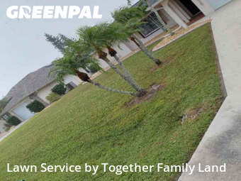 Lawn Maintenance in Punta Gorda, 33983, Grass Care by Together Family Land, work completed in Nov , 2025
