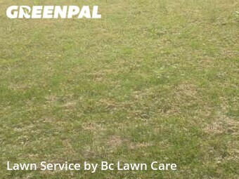 Grass Cut nearby Louisburg, NC, 