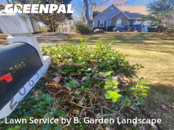 Lawn Carein Cumming,30041,Lawn Cut by B. Garden Landscape , work completed in Feb , 2026