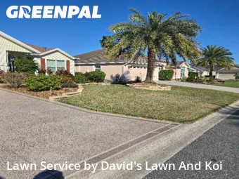 Front Yard Mowing in The Villages, 32163, Yard Care by David's Lawn And Koi, work completed in Dec , 2025