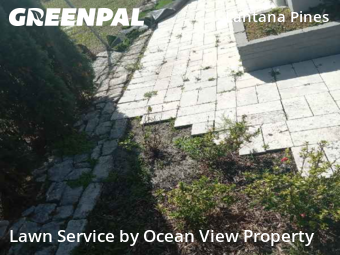 Lawn Cutting nearby Lantana, FL, 