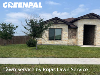 Lawn Mow nearby Harlingen, TX, 