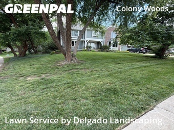 Lawn Cut nearby Lenexa, KS, 