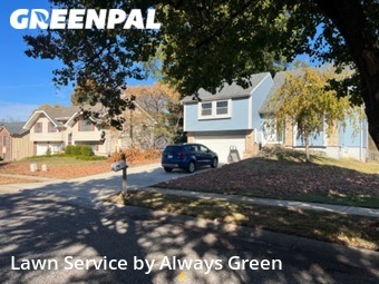 Grass Cutting nearby Lenexa, MO, 