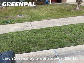 Yard Cutting nearby College Station, TX, 