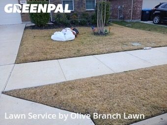 Backyard Landscaping In Fort Worth,76131,Landscaping Maintenance by Olive Branch Lawn, work completed in Dec , 2025