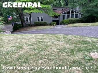 Lawn Maintenance nearby Roswell, GA, 