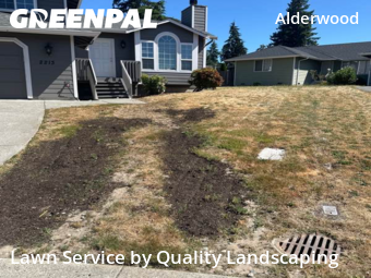 Property Maintenance in Lynnwood, 98036, Grass Cutting by Quality Landscaping, work completed in Nov , 2025