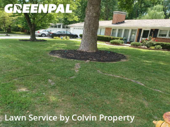 Lawn Cutting nearby St. Louis, MO, 