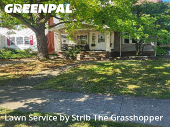 Lawn Cuttingin Lakewood,44107,Grass Cutting by Strib The Grasshopper, work completed in Jan , 2026