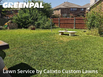 Grass Cut nearby Euless, TX, 