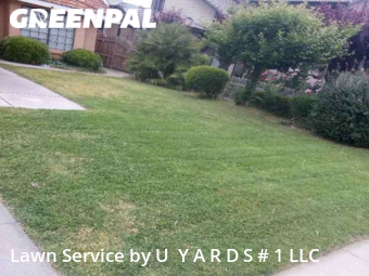 Grass Cut nearby Ceres, CA, 