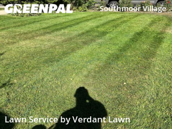Grass Cut nearby Fort Collins, CO, 