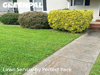 Lawn Mowing nearby Cramerton, NC, 