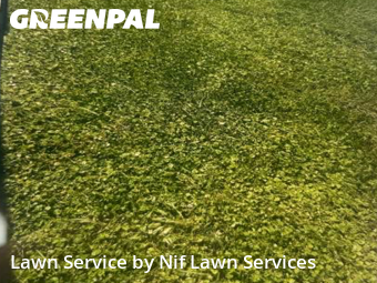 Yard Management in Lowell, 28098, Lawn Services by Nif Lawn Services, work completed in Nov , 2025