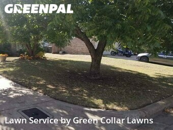 Grass Cut nearby Fort Worth, TX, 