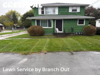 Grass Cut nearby Buffalo, NY, 