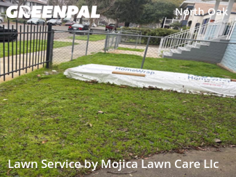 Lawn Maintenance in Sacramento, 95817, Lawn Cut by Mojica Lawn Care Llc, work completed in 19 Jan, 2026 